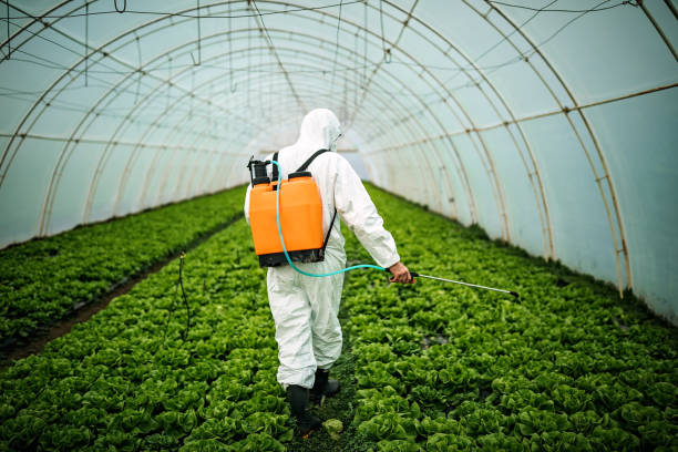 Best Commercial Pest Control Services  in Brooklawn, NJ