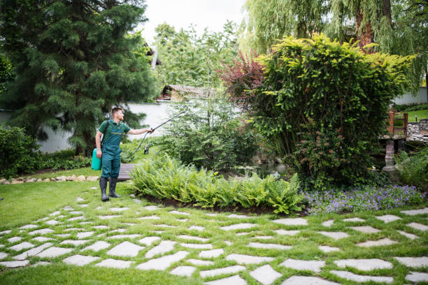 Best Affordable Pest Control Services  in Brooklawn, NJ