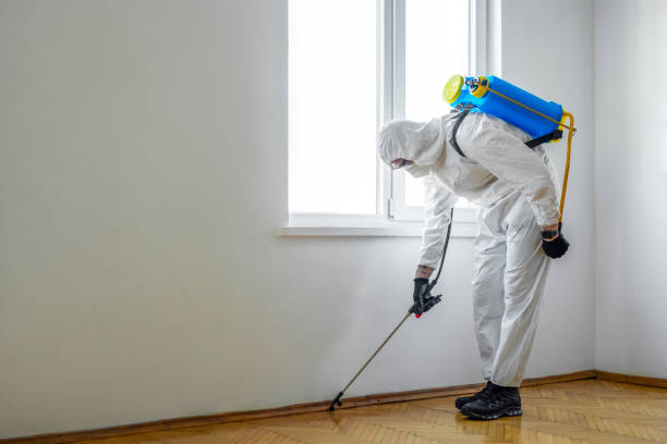 Best Pest Removal Services  in Brooklawn, NJ