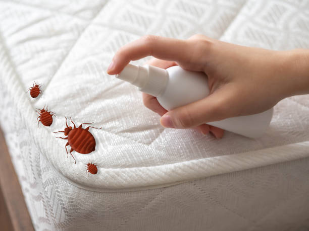 Best Exterminator Services  in Brooklawn, NJ