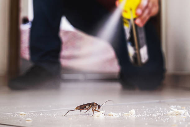 Best Insect Control  in Brooklawn, NJ