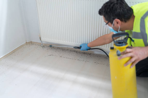Trusted Brooklawn, NJ Pest Control Experts