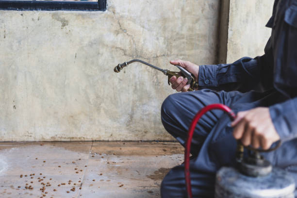 Best Rat Extermination Near Me  in Brooklawn, NJ